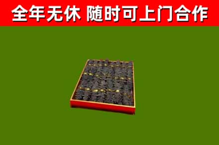 托克逊县回收海参